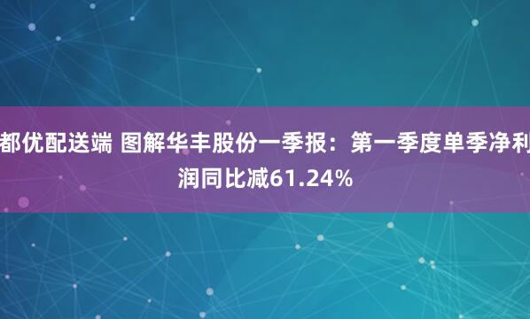 都优配送端 图解华丰股份一季报：第一季度单季净利润同比减61.24%