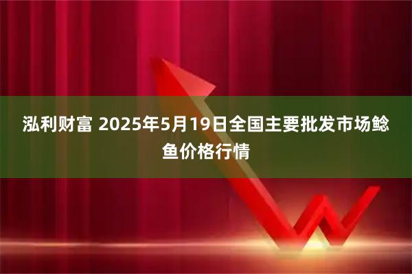 泓利财富 2025年5月19日全国主要批发市场鲶鱼价格行情