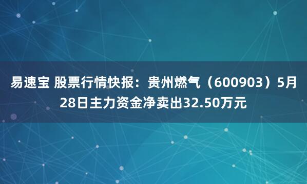易速宝 股票行情快报:贵州燃气(600903)5月28日主力资金净卖出32.50万元