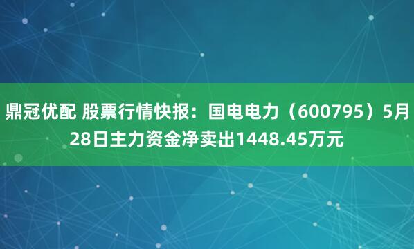鼎冠优配 股票行情快报:国电电力(600795)5月28日主力资金净卖出1448.45万元