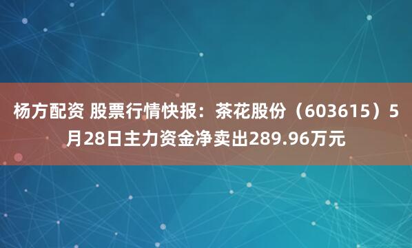 杨方配资 股票行情快报:茶花股份(603615)5月28日主力资金净卖出289.96万元