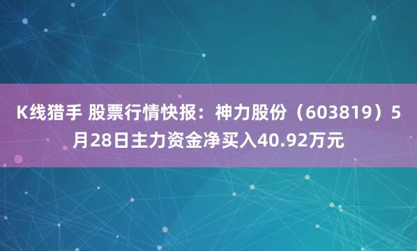 K线猎手 股票行情快报:神力股份(603819)5月28日主力资金净买入40.92万元