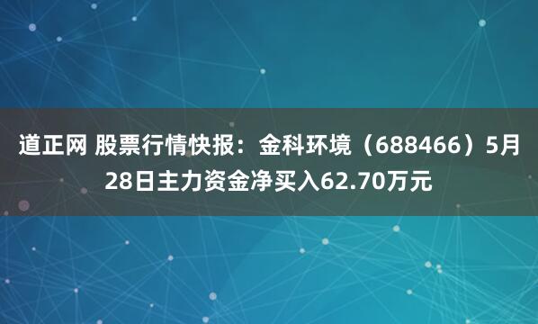 道正网 股票行情快报:金科环境(688466)5月28日主力资金净买入62.70万元