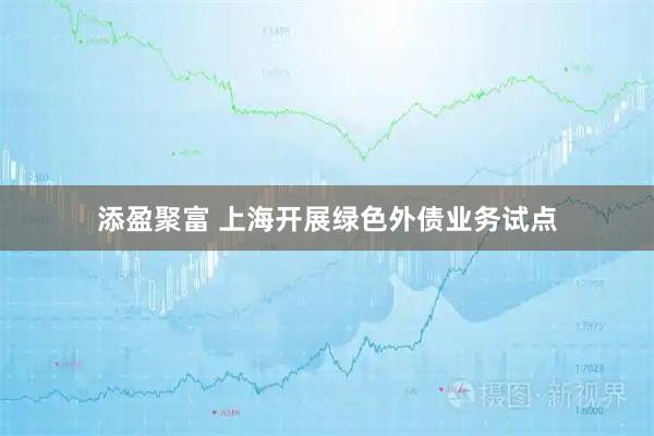 添盈聚富 上海开展绿色外债业务试点