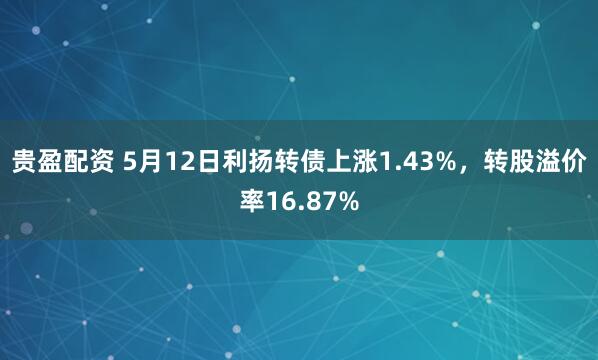 贵盈配资 5月12日利扬转债上涨1.43%，转股溢价率16.87%
