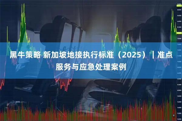 黑牛策略 新加坡地接执行标准（2025）｜准点服务与应急处理案例