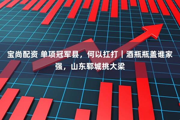宝尚配资 单项冠军县，何以扛打｜酒瓶瓶盖谁家强，山东郓城挑大梁
